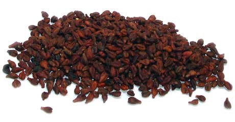 Traubenkerne, lose ab 25kg (5€ je Kg) - zum Schließen ins Bild klicken